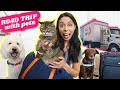How I Survived the LONGEST Road Trip with TWO Dogs & SENIOR CAT!!