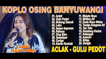 Dini Kurnia - ACLAK - GULU PEDOT - FULL ALBUM KOPLO OSING BANYUWANGI VIRAL 2025