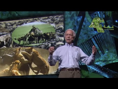 الرعي المنظم