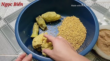 Bài mồi câu cá chép, rô phi đánh luôn dành cho các cần thủ mới tập câu|carp bait|| Ngọc Biển Fishing