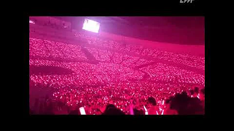 three biggest K-pop fandom in the world exo-l bts army blink