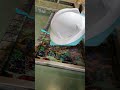 Hydrodipping a hardhat