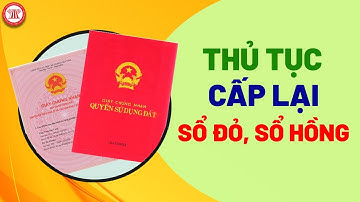 Thủ Tục Cấp Lại Sổ Đỏ, Sổ Hồng | PHÁP LÝ ĐẤT ĐAI | TVPL