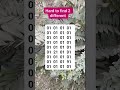 #puzzle #brainteaser #search #find