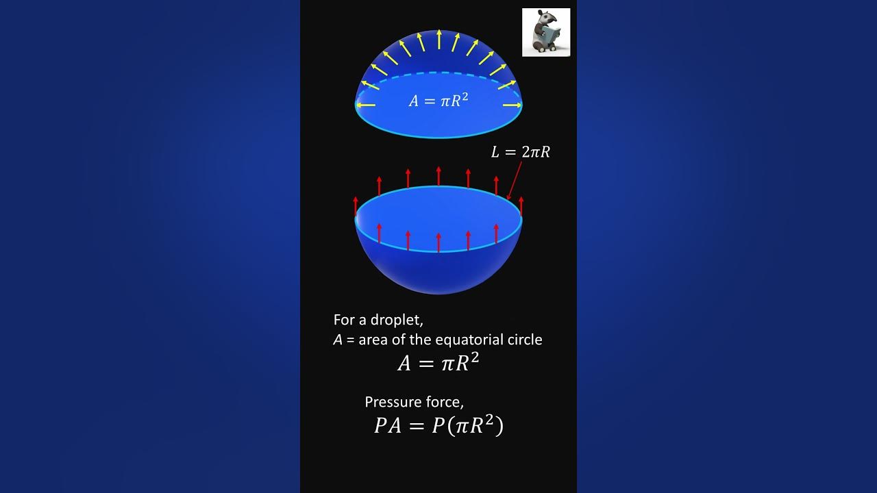 How to derive the surface tension equation for droplets shorts 
