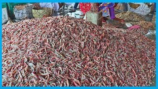 Exclusive Fresh Fish Market Near Me (Part 39) | Fish Corn