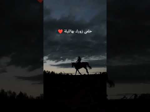 حلمي زورك بهالليلة صوتي ما عاد في لون اكسبلور  ترند حصان خيل