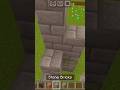 The Dragon Slayer #minecraft #shorts #gaming