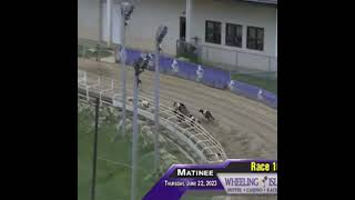 Hell Bent's fast start earns spot in Wheeling history