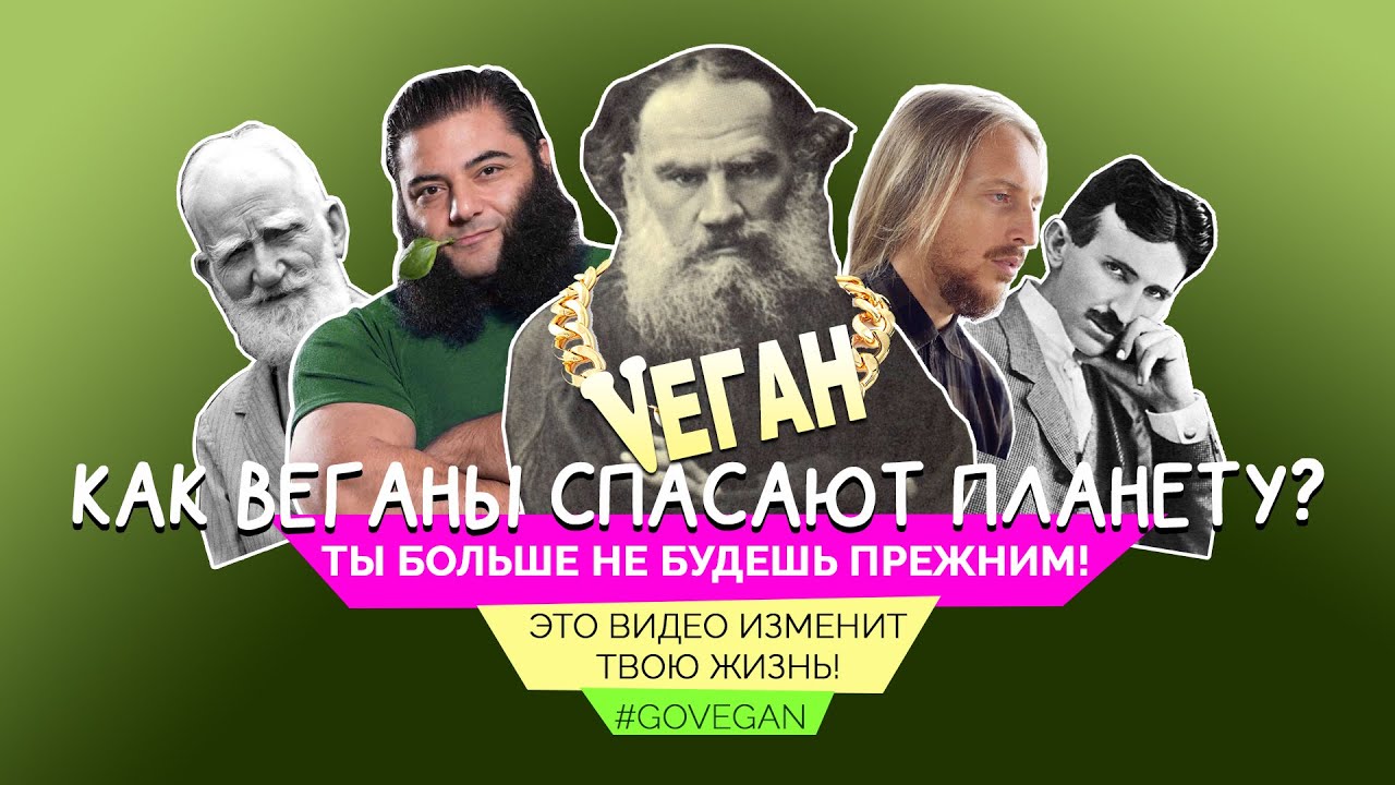 Loibazzar Com Отзывы О Магазине Loibazzar Com Отзывы О Магазине