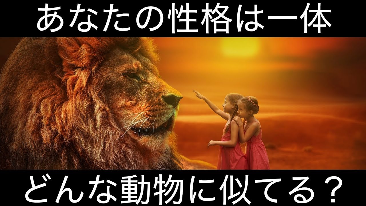 あなたは何顔 動物顔診断 女性用 顔特徴から性格や恋愛傾向がわかる 何系男子診断メーカー動物