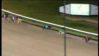 Angle-Park-03092015-Race-6
