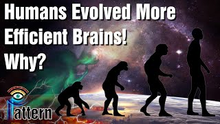 Humans Evolved More Efficient Brains!  Why?