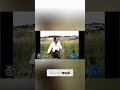 Homem é Paralisado por OVNI e Vê Marca Estranha Deixar Campo! #shorts
