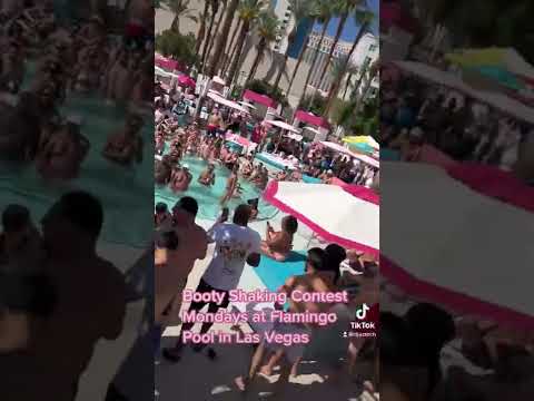 Video: Obrázky bazéna v hoteli Flamingo Las Vegas