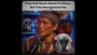 They saw an alien picture… and knew it
