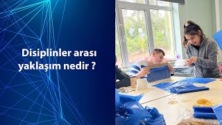 Disiplinler Arası Yaklaşım Nedir ?