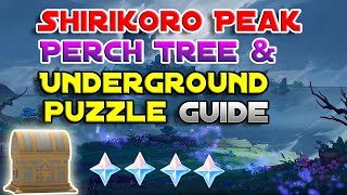 Shirikoro Peak Perch Tree and Underground Puzzle Guide | Genshin Impact 2.2 Tsurumi Island