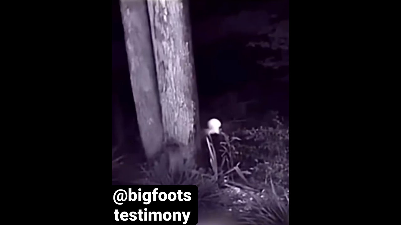 Encounter with a possible Wendigo #wendigo #bigfoot #rake - YouTube