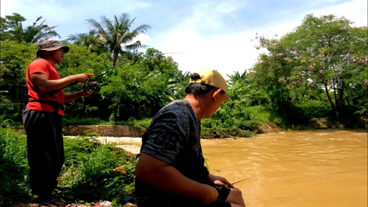 GACOR PARAH!!! Mancing ikan saat kondisi air lagi keruh | Ikan Keting/Lundu