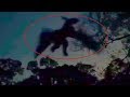 5 paranormal creatures caught on camera