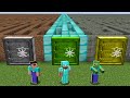 Minecraft NOOB vs PRO vs ZOMBIE: WHICH RAREST MAZE HIDDEN INSIDE CASTLE? Animation!
