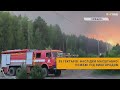 💥35 гектарів: наслідки масштабної пожежі під Вишгородом