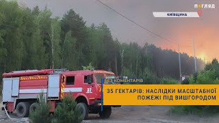 💥35 гектарів: наслідки масштабної пожежі під Вишгородом