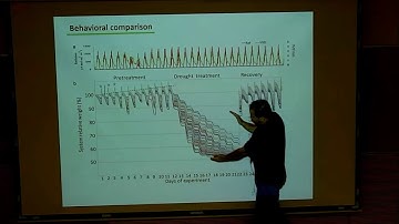 Root to Shoot Functional Phenotyping Center