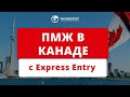Как получить ПМЖ в Канаде по программе Express Entry