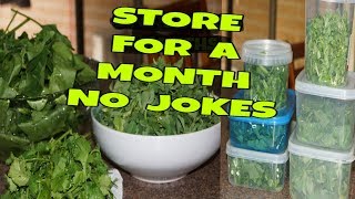 How to store leafy vegetables in the fridge |  KEEP (ALL LEAFY VEGETABLES ) FRESH