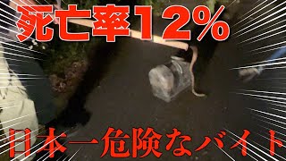 【神回】奄美大島で猛毒ハブに挑む