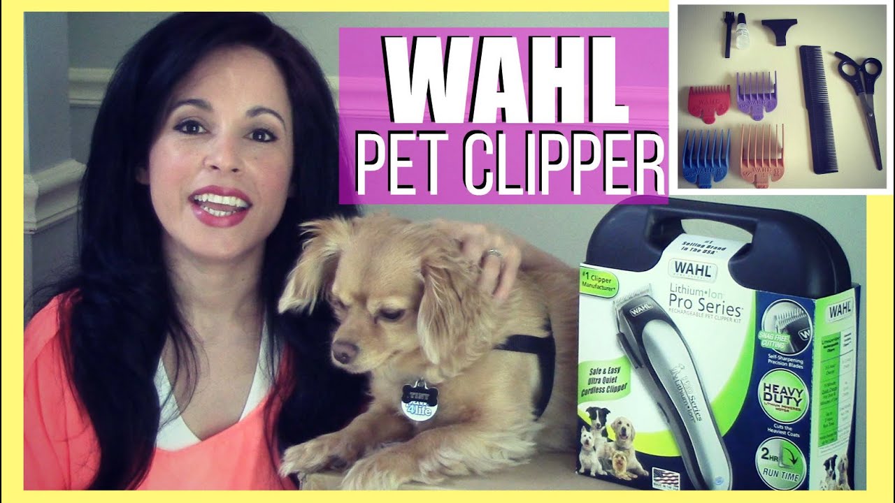 wahl pro ion dog clippers