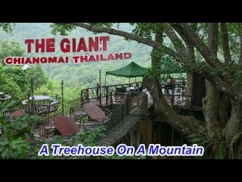 They Built a Coffee Shop/Restaurant in A Giant Tree on The Top of a Mountain. Terrible Reviews.