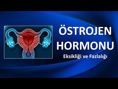 Video: Östrojen