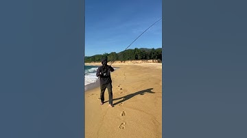 Tập câu lure, biết quăng mồi là sẽ có cá kéo lên #thanhcauca #caucabien #beachfishing