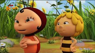 Ari Mayaçayirin Çöpleri̇