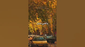 دلم پاییز میخواهد کمی کتاب کمی قهوه وکمی باران و یک دنیاتو دکلمه پاییز کتاب قهوه باران عشق تهران 