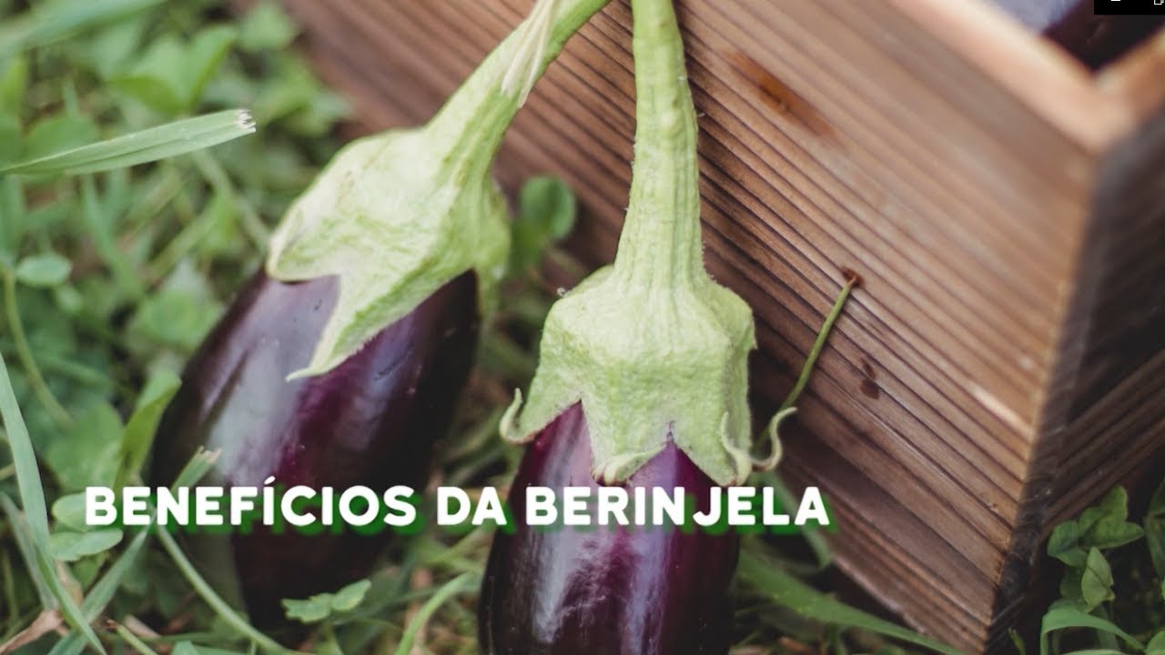 Berinjela é bom pra quê? - Conheça os benefícios - YouTube