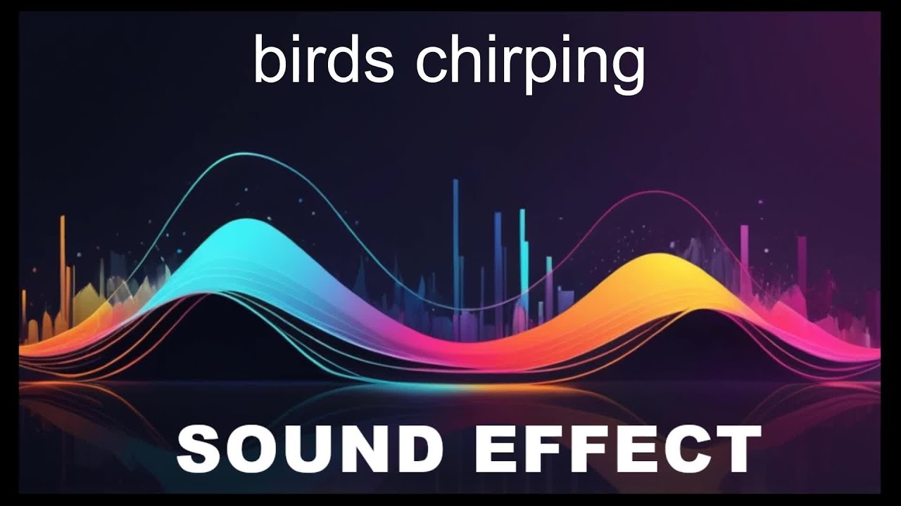 Birds Chirping Sound Effects - HD SFX 🎧