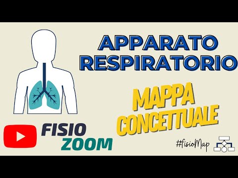 Video: Conoscevi il sistema respiratorio?