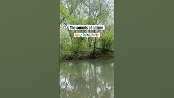name a better sound, I’ll wait. #nature