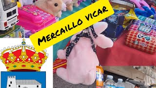 mercadillo de vicar los domingos