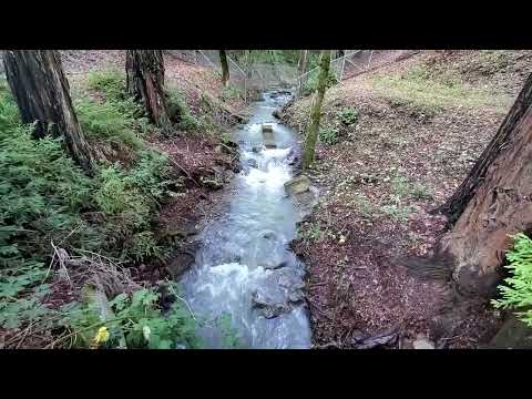 Orr Creek @ Standley Street in Ukiah, CA