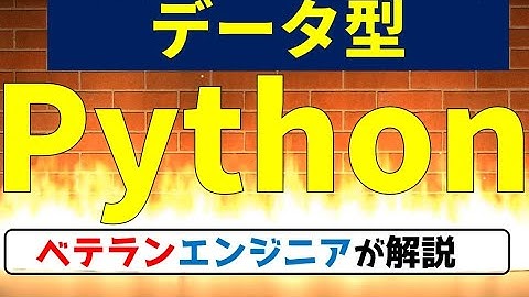 【高校情報１】  データ型　Python  プログラミング 大学入学共通テスト