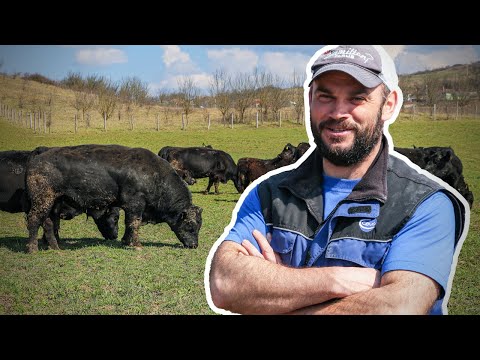 Video: Cine deține ferma wickenburg?
