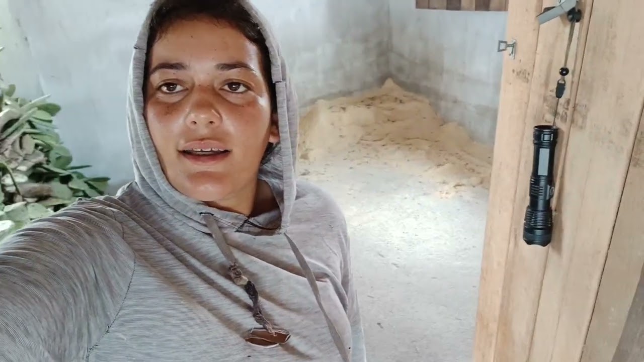 Olha o preco que o comprador coloco na minha vaca quase vedi 