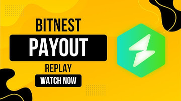 BitNest Auto Payout Replay - Earn 0.85% Daily with USDT