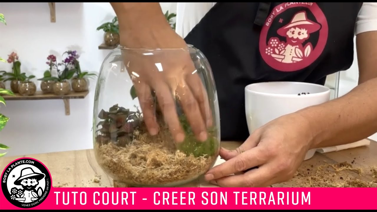 Tuto - Créer son Terrarium avec Boby la Plante (version accélérée)