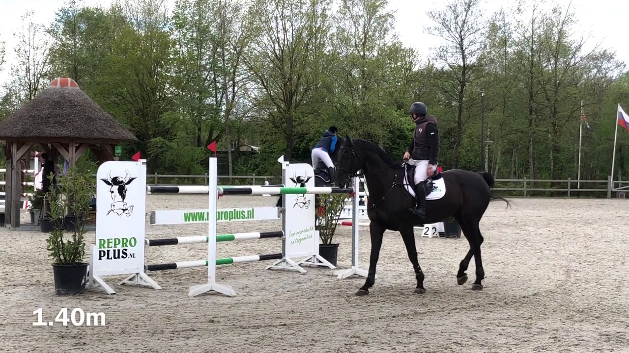 Empire N. by Namelus R x Odermus R @ 1.35m and 1.40m Tolbert